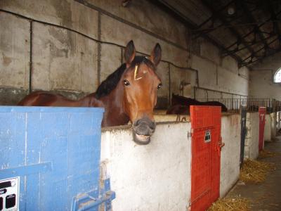 Photo de profil de mama0796