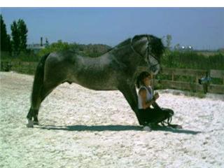 Photo de profil de mambo.five