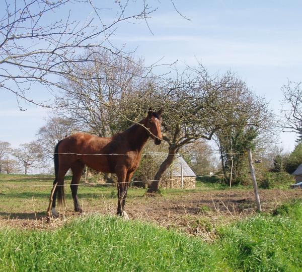 Photo de profil de marco35