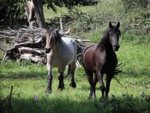 Photo de profil de mariwrite