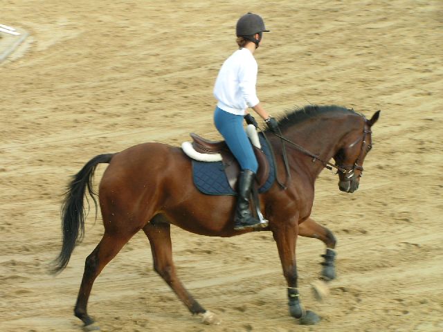 Photo de profil de moune87