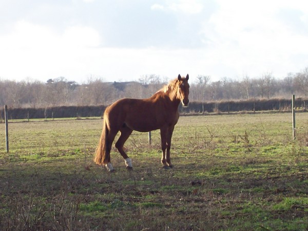 Photo de profil de n0ra