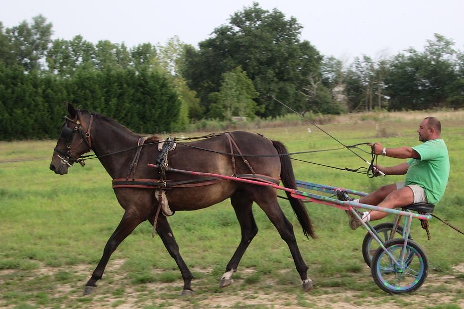 Photo de profil de nenoeil