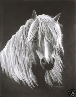 Photo de profil de nolita