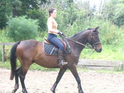 Photo de profil de nuchila