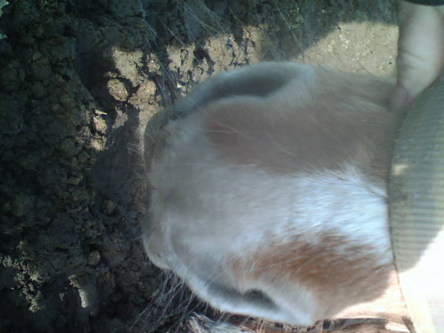 Photo de profil de onifia