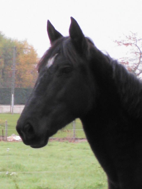 Photo de profil de othee