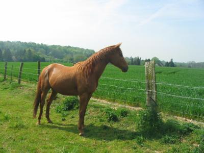 Photo de profil de pheerie