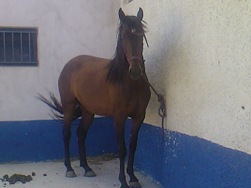 Photo de profil de polka