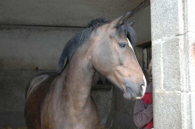 Photo de profil de polydu56