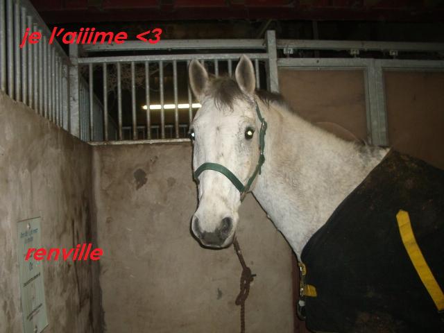 Photo de profil de renville-29