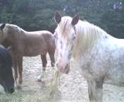 Photo de profil de ruffynette