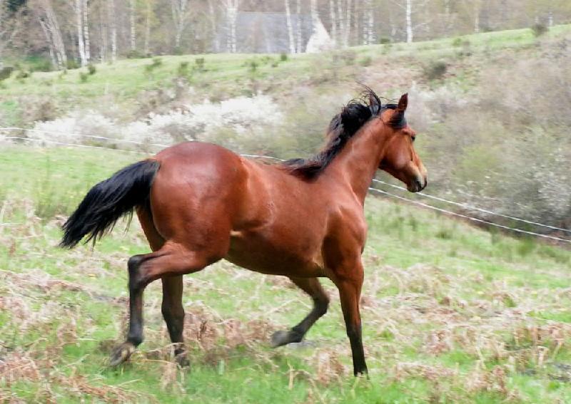 Photo de profil de sirius84