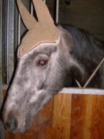 Photo de profil de sniperinette