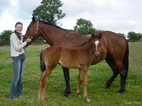 Photo de profil de snowhorses