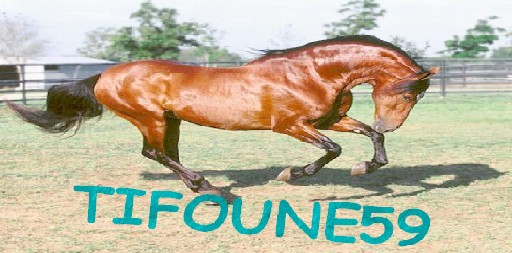Photo de profil de tifoune59