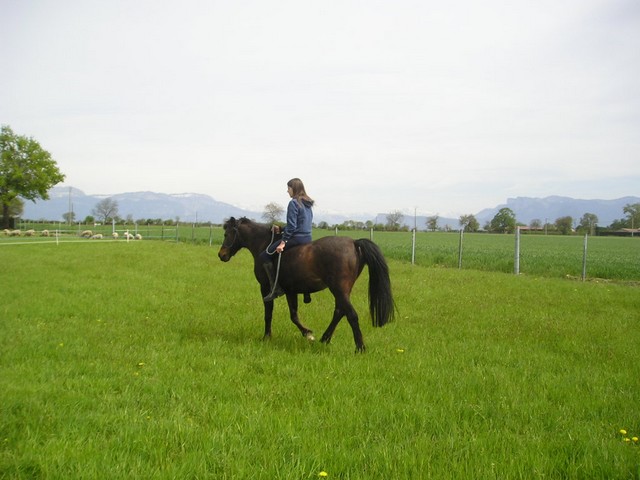 Photo de profil de utha38