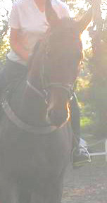 Photo de profil de valdivia