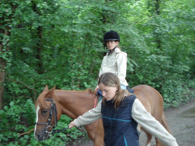 Photo de profil de wahlpolo