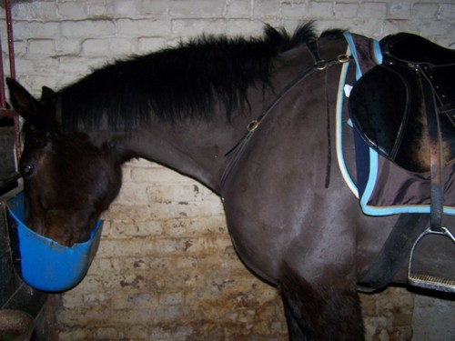 Photo de profil de x-loulou-x