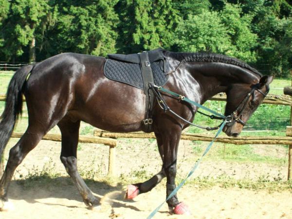 Photo de profil de adanco