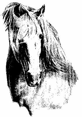 Photo de profil de adonia