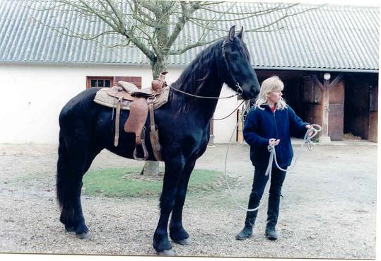 Photo de profil de aguamansa