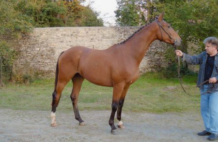 Photo de profil de alainlaubus