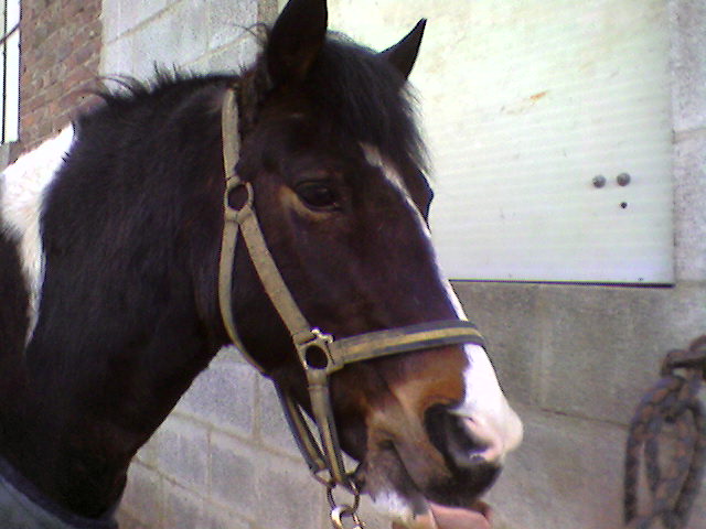 Photo de profil de aleyah