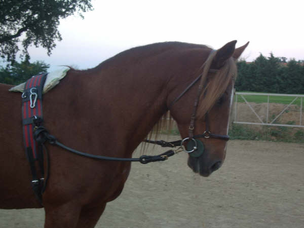 Photo de profil de auam2104