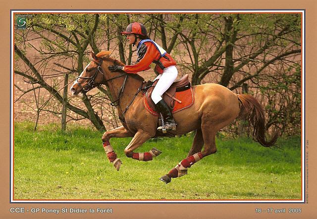 Photo de profil de baroudeur65