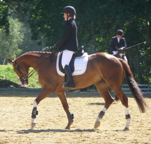 Photo de profil de betrou