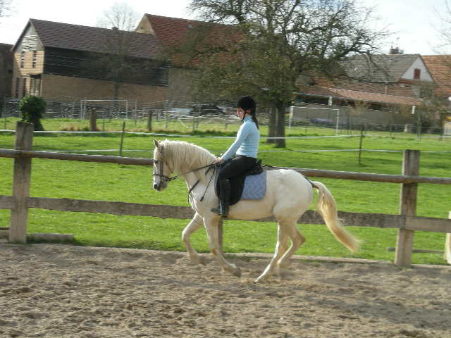 Photo de profil de caballo