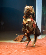 Photo de profil de caumes