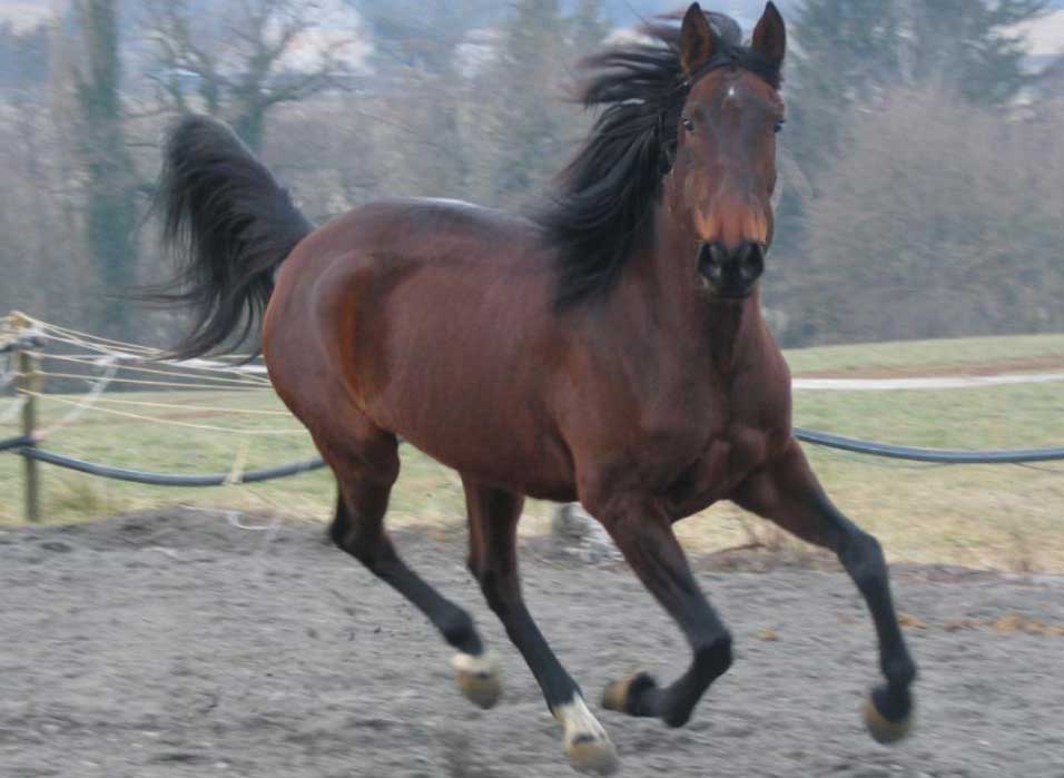 Photo de profil de cocomona
