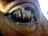 Photo de profil de cocotte40