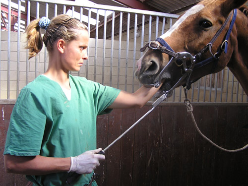 Photo de profil de dentiste