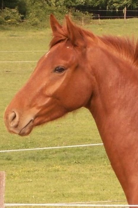 Photo de profil de dumany