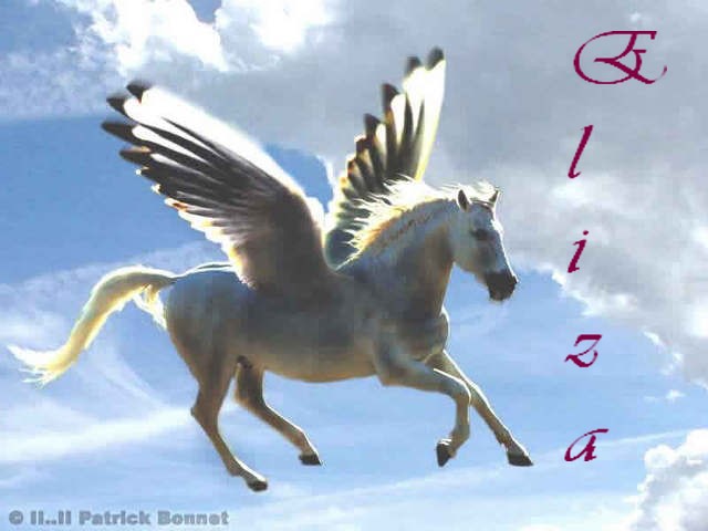 Photo de profil de eliza