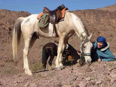 Photo de profil de elo34130