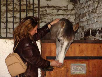 Photo de profil de epona-one