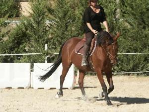 Photo de profil de est-aile