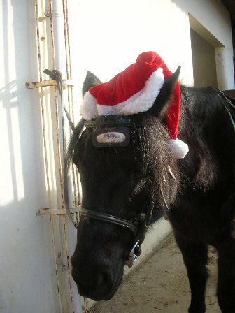 Photo de profil de etoile64