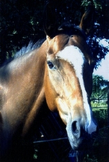 Photo de profil de hioury