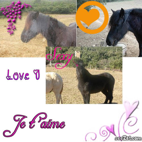 Photo de profil de holiday80