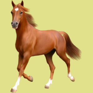 Photo de profil de image19