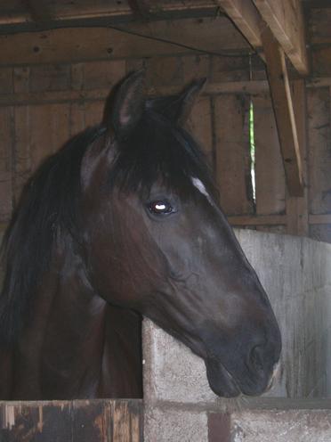 Photo de profil de jade38