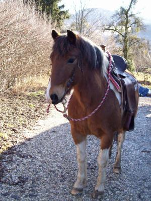 Photo de profil de jungle74