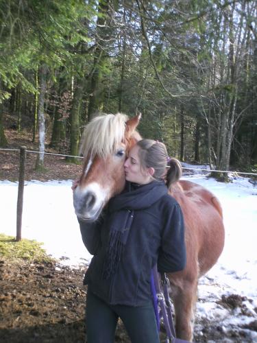 Photo de profil de l3s-ch3vau-x