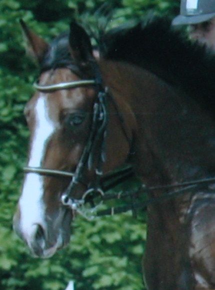 Photo de profil de lelex21